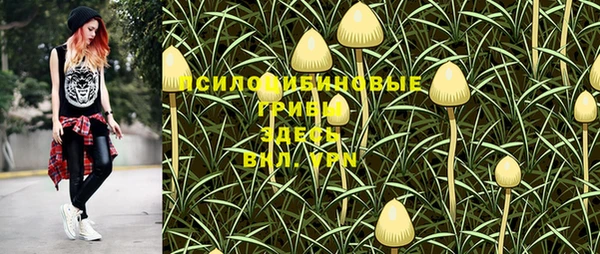 PSILOCYBIN Алексеевка